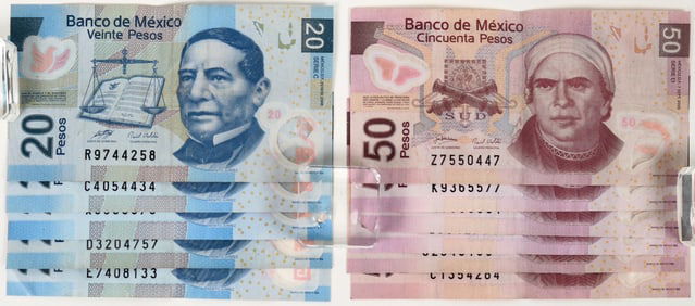 Banco de Mexico Bank Notes (10) [190330]