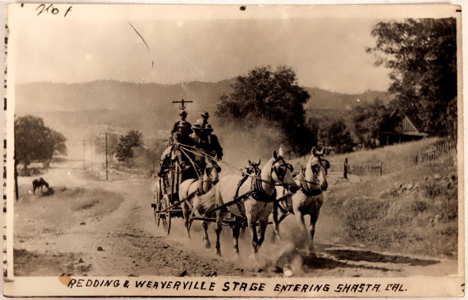 Redding & Weaverville Stage RPC 1915 [187022]: Redding to Weaverville, California stage entering the town of Shasta. This is possibly one of the last remaining stage runs in California as motor coaches (Not trains) took business away business from