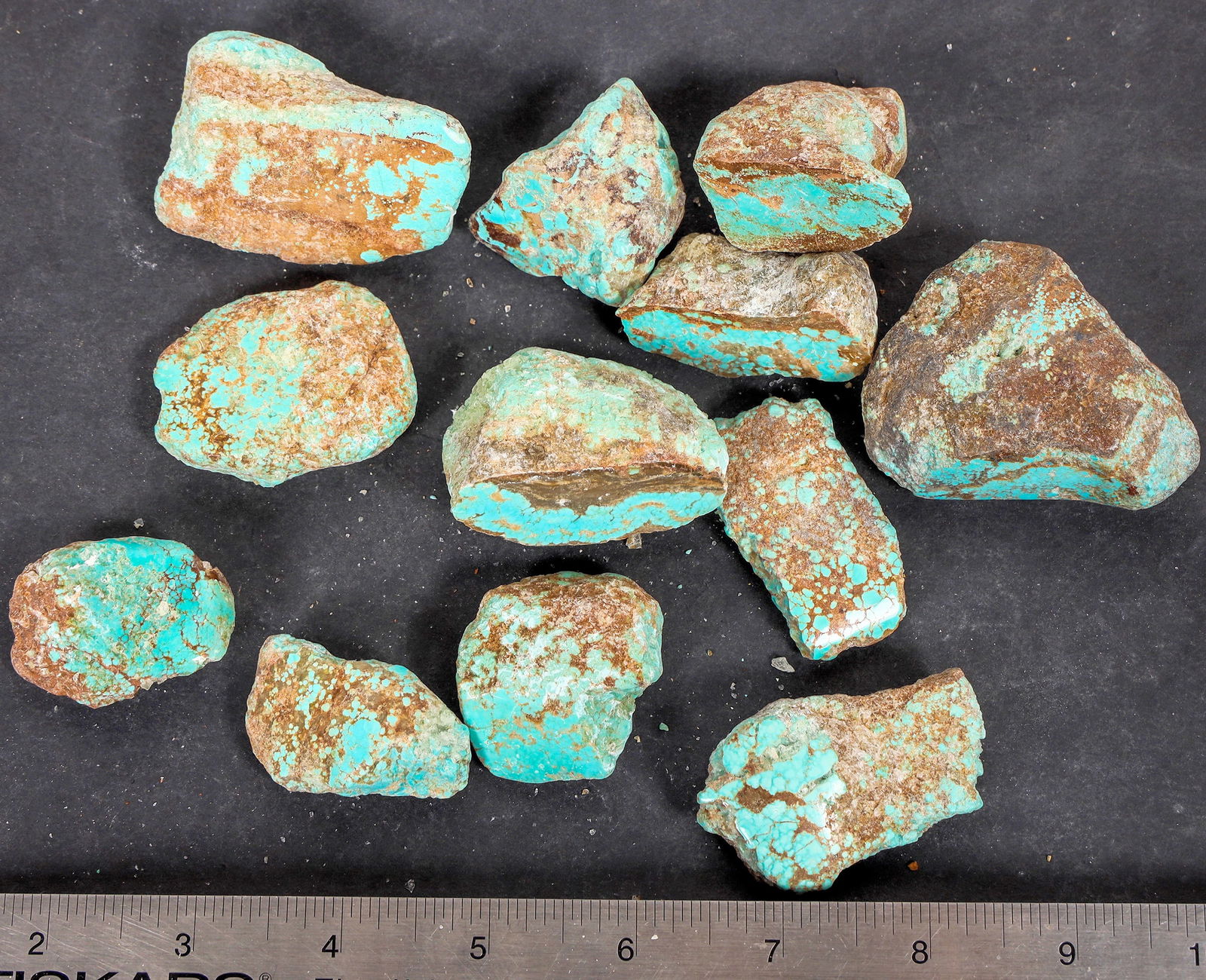 Turquoise - No. 8 Mine Nevada, Polished (12) [193277] (1 of 2)