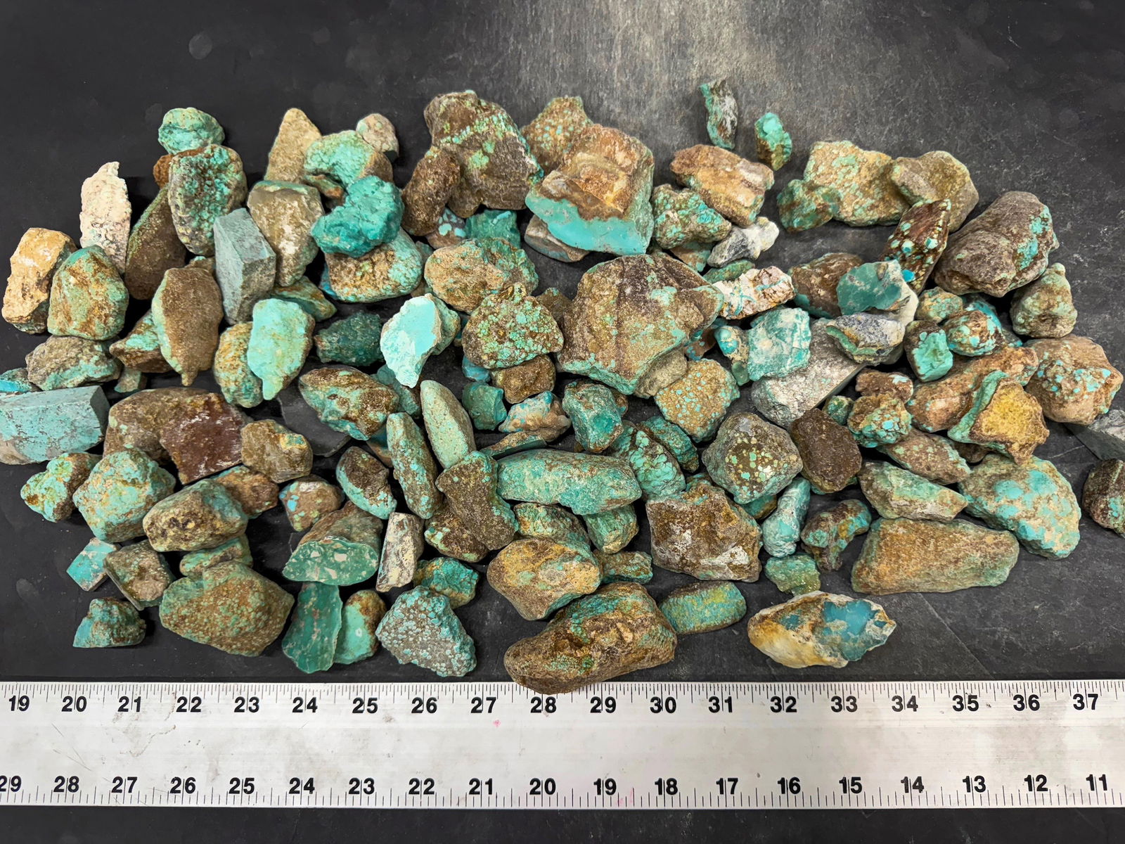 Turquoise - No. 8 Mine Nevada, Grade 1.5 [193269] (1 of 1)