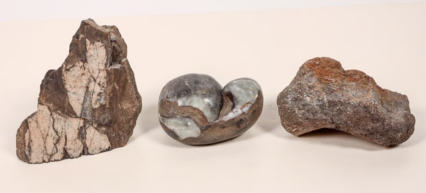 Fossils Dinosaur Bones, Brachiopod (3) [192840]