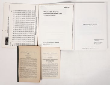 Lithium Mining Group [191600]