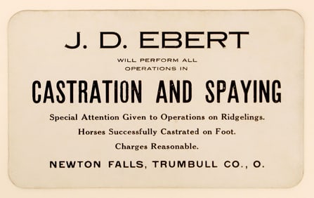 Castration And Spaying Business Card [188977]