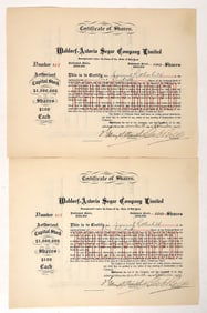 Waldorf-Astoria Segar Stock Pair, 1906 [192777]