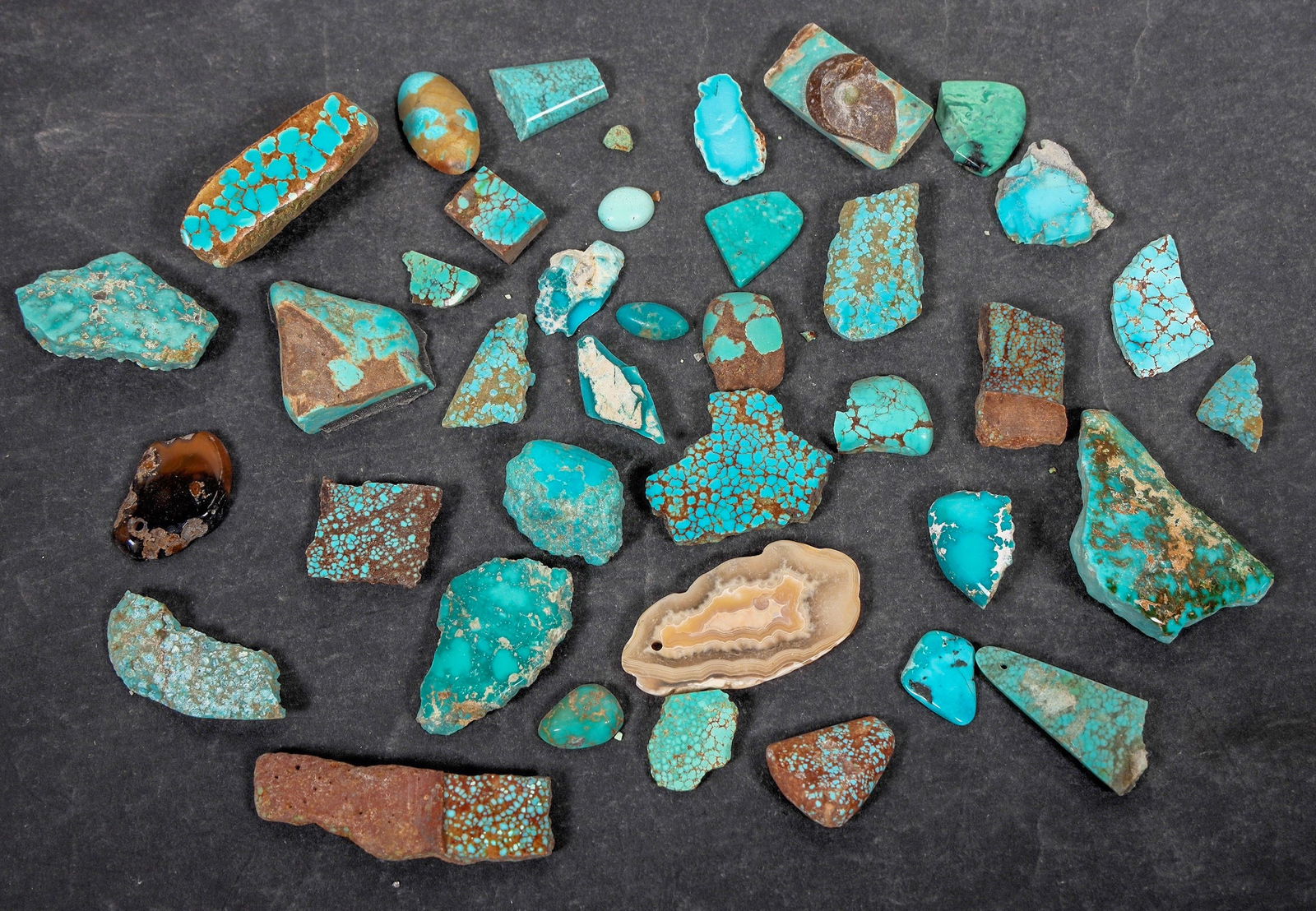 Polished Turquoise, No. 8 Mine of Nevada [194049] (1 of 2)