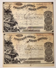 Tuolumne County Water Stocks (2) [192695]