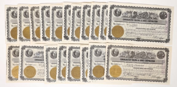 Cons. Virginia & Andes Stocks, 20 [193931]