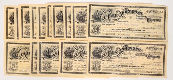 Hale and Norcross Mining Stocks, 20 [193953]