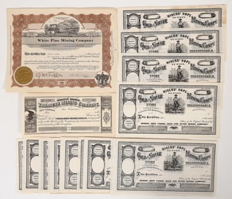 White Pine Mining Stocks, 2 Different, 24 Total [193887]