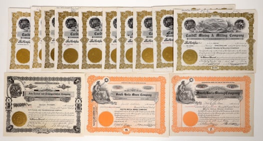 Cottonwood Mining Stocks, 13 [193798]