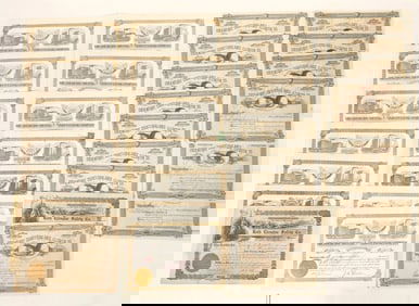 Elevator Stocks, 3 Different, 24 Total [191260]
