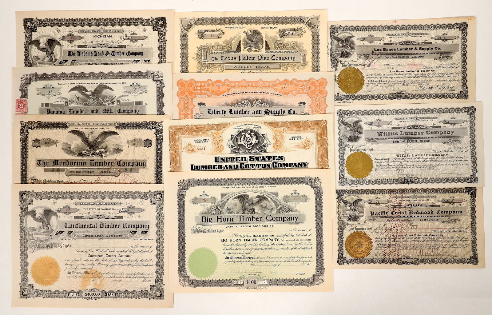 Lumber Companies Stock Collection, 1896-1928 [191904] (1 of 1)