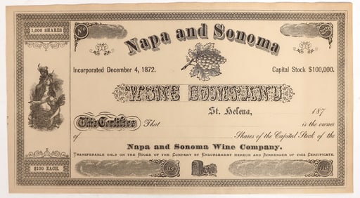 Napa and Sonoma Wine Company Stock Certificate [194753]