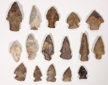 Projectile Points form Saginaw County, Michigan (16) [194513]