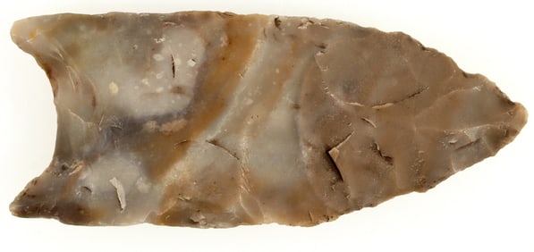Plainview Paleo Point from Texas [195565]