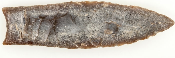 Golondrina Paleo Point from Texas [195562]