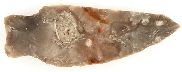 Nolan Knife Point from Nolan, Texas with Fossil Inclusion  [195580]