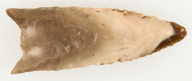 Folsom Paleo Point from North Texas [195566]