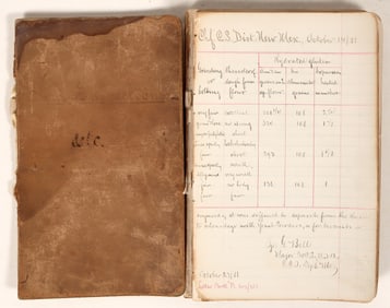 Journal Flour Inspections of General James Bell 9th Cavalry,1881, Fort Wingate, New Mexico [195561]