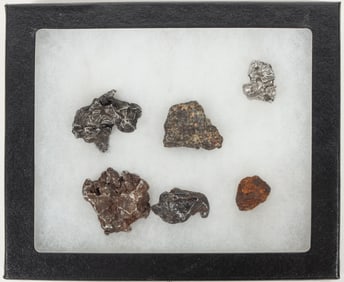 Meteorite Collection (Africa, Arizona, Russia, S. America): Six Different! [192908]