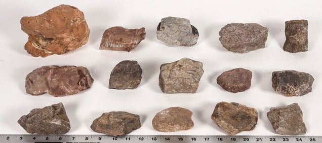 Dinosaur Bone Fossils, 14 Pounds [194733]