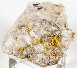 Native Gold in Quartz Timmins Ontario (14.8 grams) [194428]