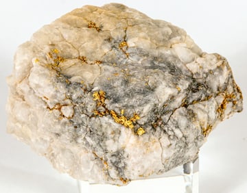 Native Gold in Quartz Timmins Ontario (17.7 grams) [194751]