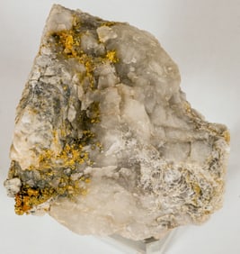 Native Gold in Quartz Timmins Ontario (22.1 grams) [194427]