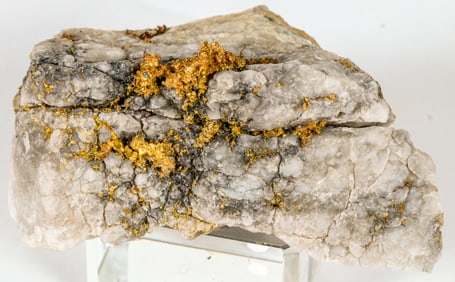 Native Gold in Quartz Timmins Ontario (26.8 grams) [194750]