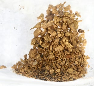 Lost Dry Wash Placer Gold, 5.4 Grams, Gold Basin, Arizona [193143]