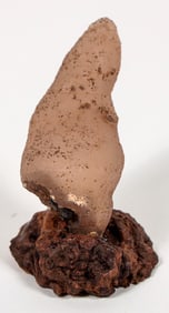 Miniature Viewing Stone in Case [194705]
