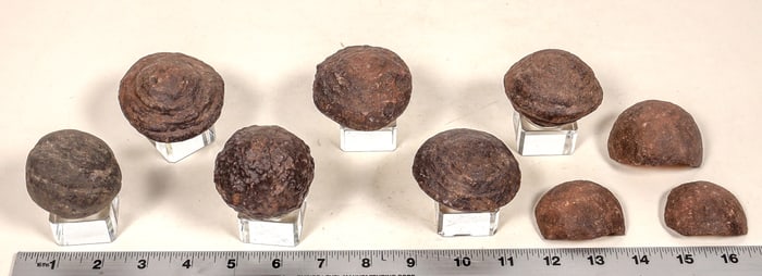 Hematite Coated Concretions [194693]