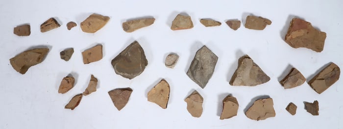 Cheng Jiang Fossil Collection [196350]