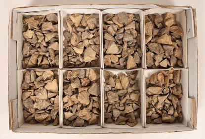 Naraoia Compacta Fossils [194649]