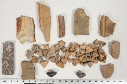 Cystoidea Fossils, 30 [196351]