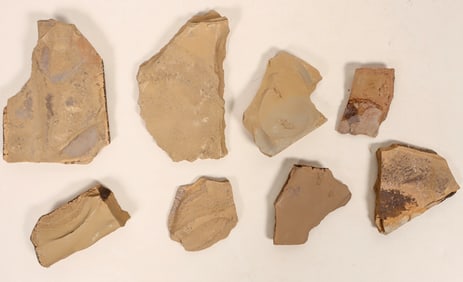 Rare Fossils, Early Shrimp? [194692]