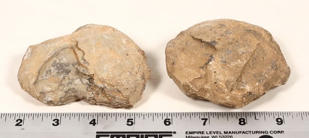 Dinosaur Egg Casts, 2 [194633]