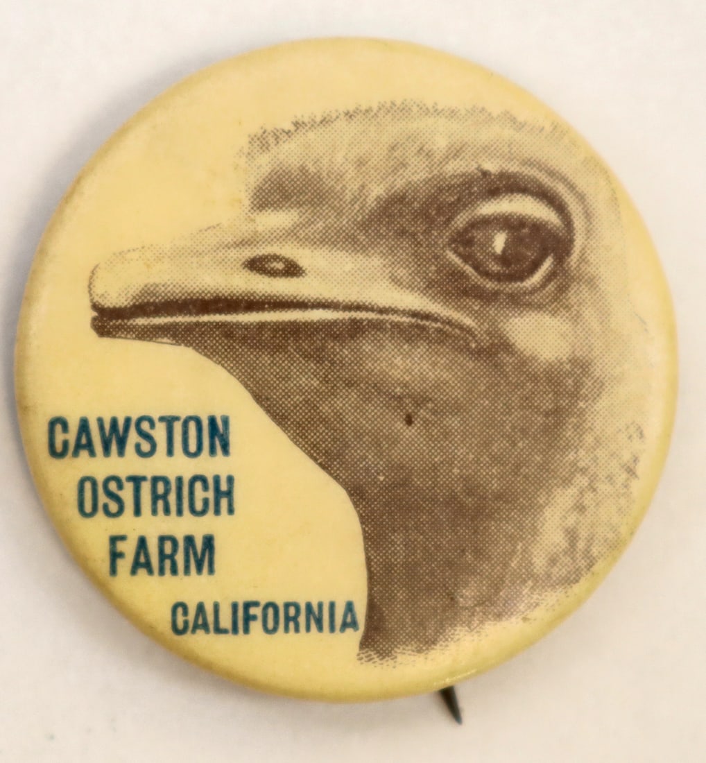 Cawston Ostrich Farm Pinback [195156]: Opened in 1896 by Edwin Cawston, the Cawston Ostrich Farm was located on nine acres ,in the Arroyo Seco Valley north of Los Angeles. The Pasadena and Los Angeles Electric Railway trolley line brought 