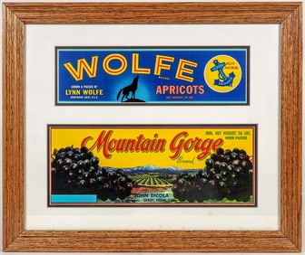 California Fruit Boxed Label Pair in Frame [195680]