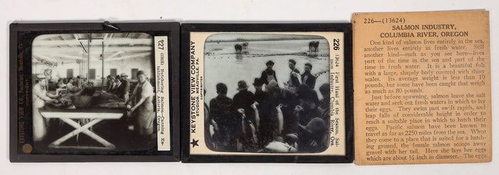 Keystone Glass Slides Oregon Salmon Run [194843]