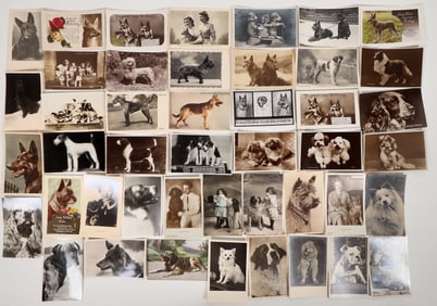 Historical  Show Dogs Etc. Postcards, 35 [194812]
