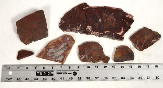 Assorted AAA Lapidary Slabs, Cady Mountains, San Bernardino County, CA [197773]