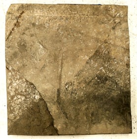 Square-Cut Crinoid Fossil Plate [196396]