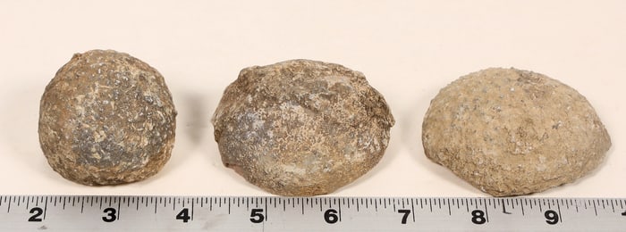 Dinosaur Egg Casts, 3 [194630]