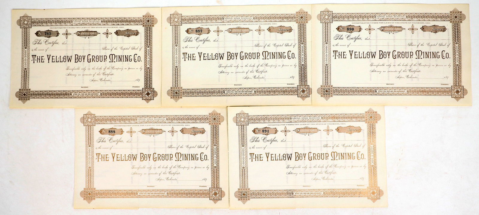 The Yellow Boy Group Mining Company Stocks [194441] (1 of 1)