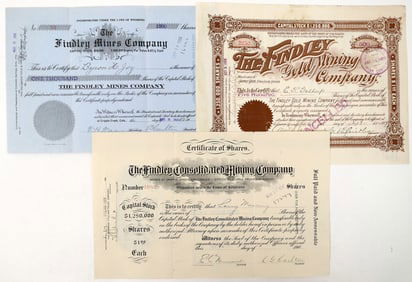 Findley Gold Mining Co. Stocks (3) [191355]