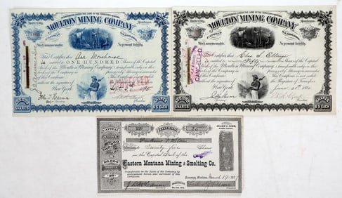 Montana Mining Stock Group [195212]