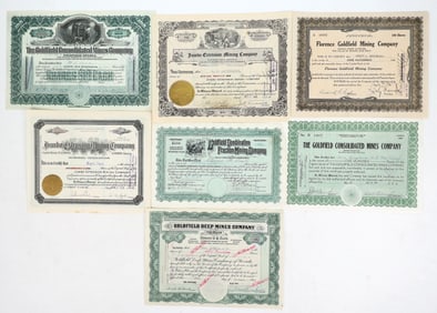 Goldfield Mining Stock Group [195203]