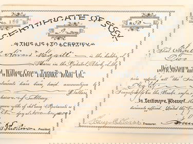 Doylestown and Willow Grove Turnpike Road Stock, 1900 [190949]