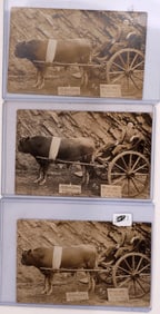 Postcards - Arkansas Traveler, 1920s (3) [186698]
